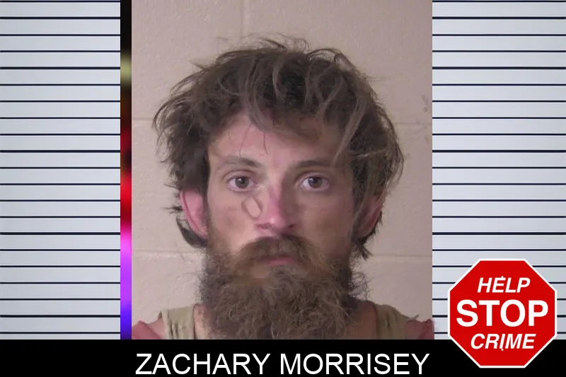 Zachary Morrisey Mugshots