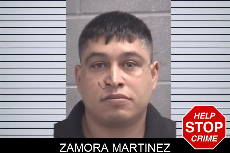 Zamora Martinez Mugshots
