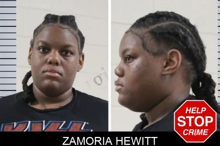 Zamoria Hewitt mugshot – Houston County , Georgia Zamoria Hewitt