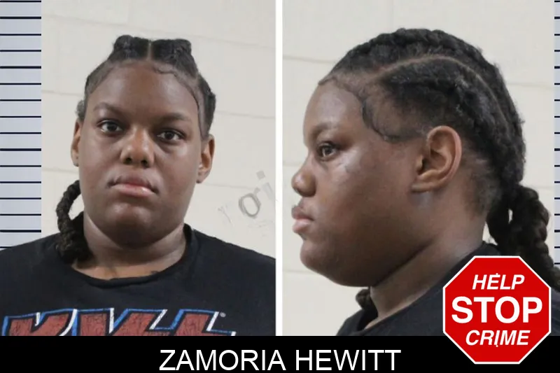 Zamoria Hewitt mugshot – Houston County , Georgia Zamoria Hewitt mugshot
