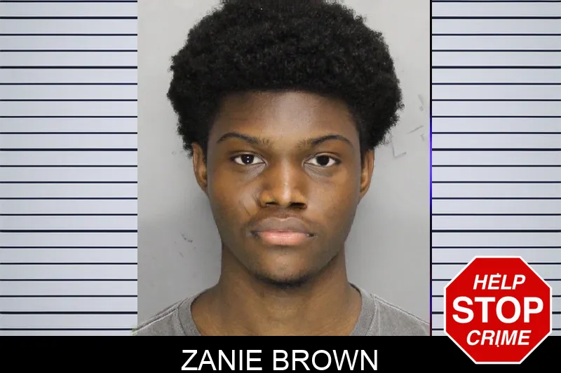 Zanie Brown mugshot