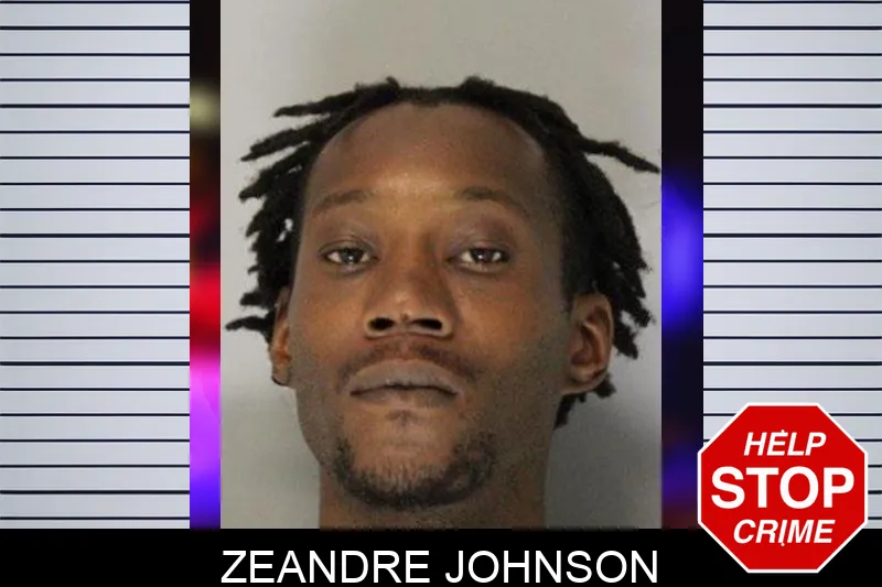 Zeandre Johnson Mugshots