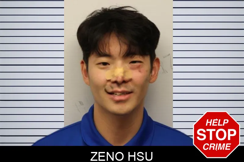 Zeno Hsu mugshot – Chatham County , Georgia Zeno Hsu mugshot