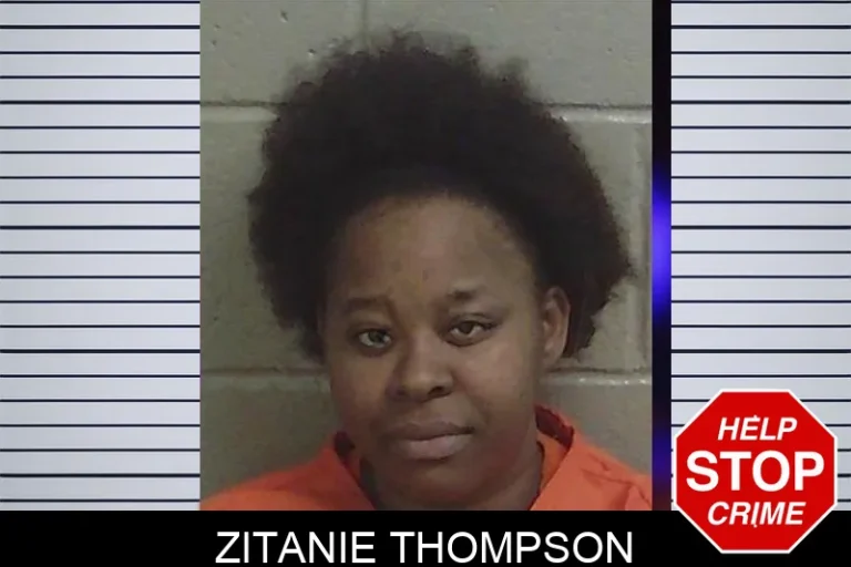 Zitanie Thompson mugshot – Wayne County , Georgia Zitanie Thompson