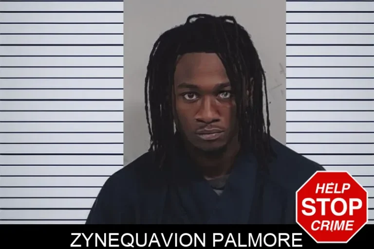 Zynequavion Palmore mugshot – Lowndes County , Georgia Zynequavion Palmore