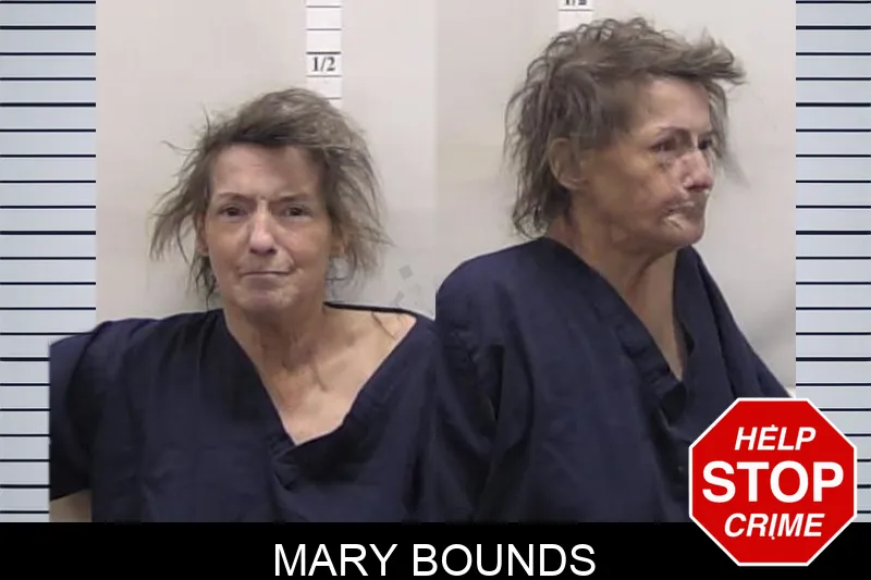 Mary Bounds Mugshots