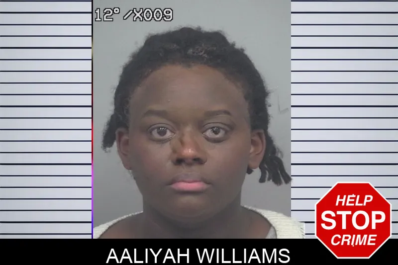 Aaliyah Williams mugshot