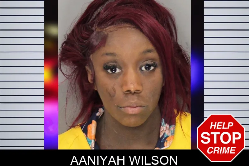Aaniyah Wilson mugshot – Cobb County , Georgia Aaniyah Wilson mugshot
