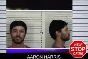 Aaron Harris mugshot