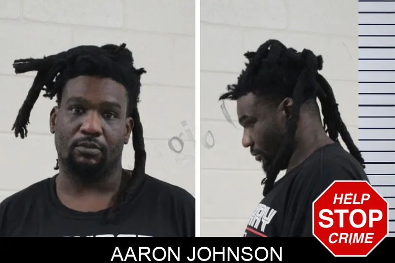 Aaron Johnson Mugshots