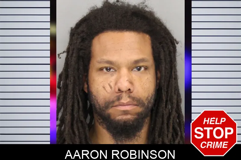 Aaron Robinson mugshot