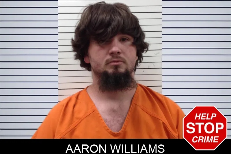 Aaron Williams mugshot