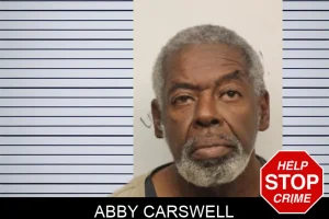 Abby Carswell mugshot