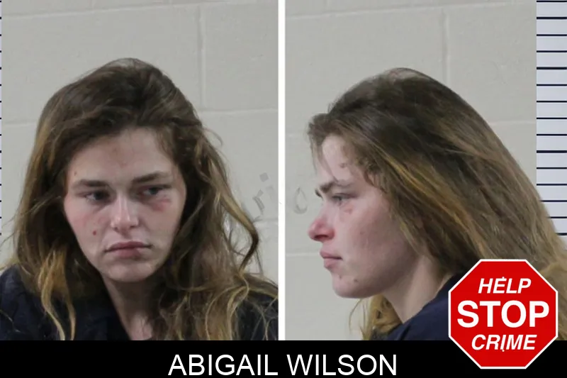 Abigail Wilson Mugshots