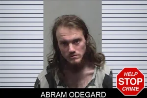 Abram Odegard mugshot