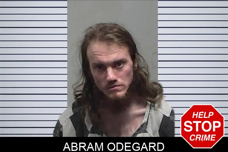 Abram Odegard Mugshots