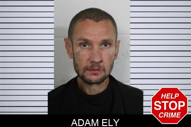 Adam Ely
