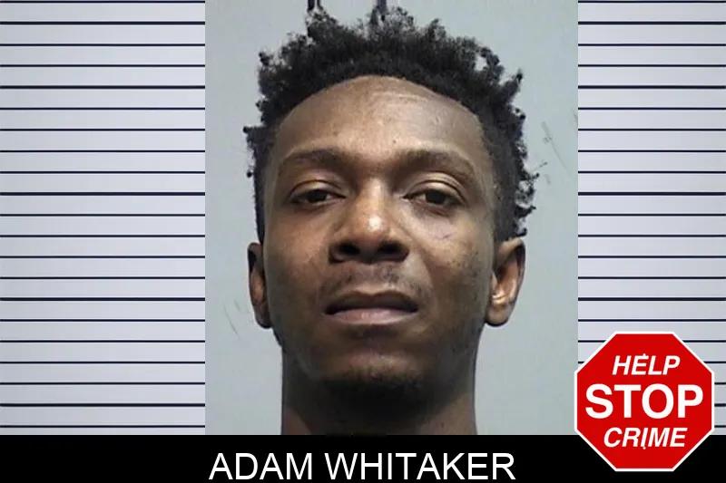 Adam Whitaker Mugshots