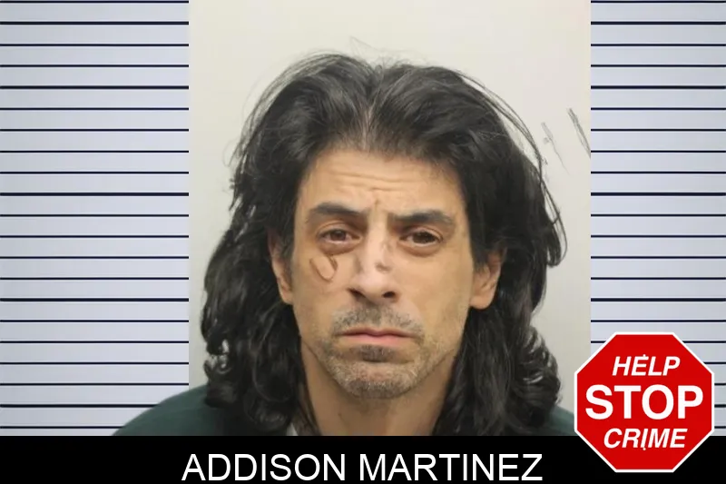 Addison Martinez Mugshots