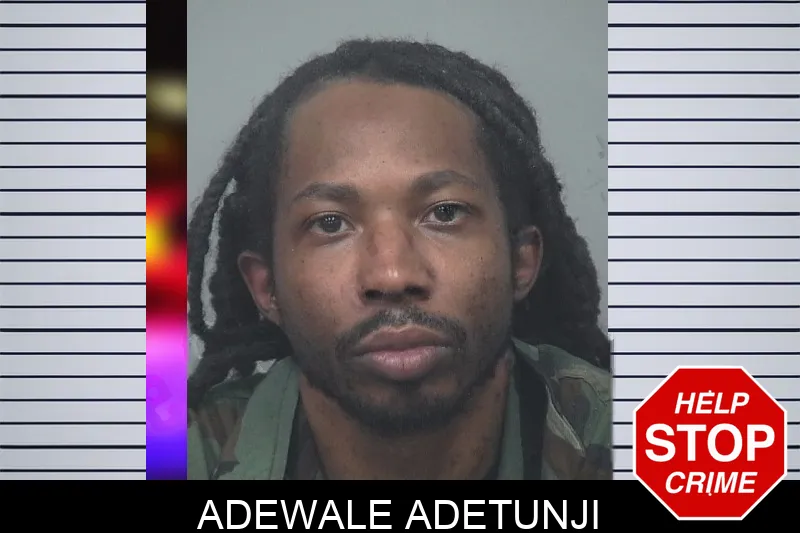 Adewale Adetunji mugshot – Gwinnett County , Georgia Adewale Adetunji mugshot