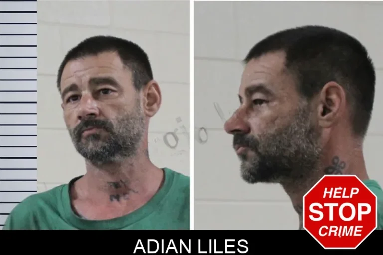 Adian Liles mugshot – Houston County , Georgia Adian Liles