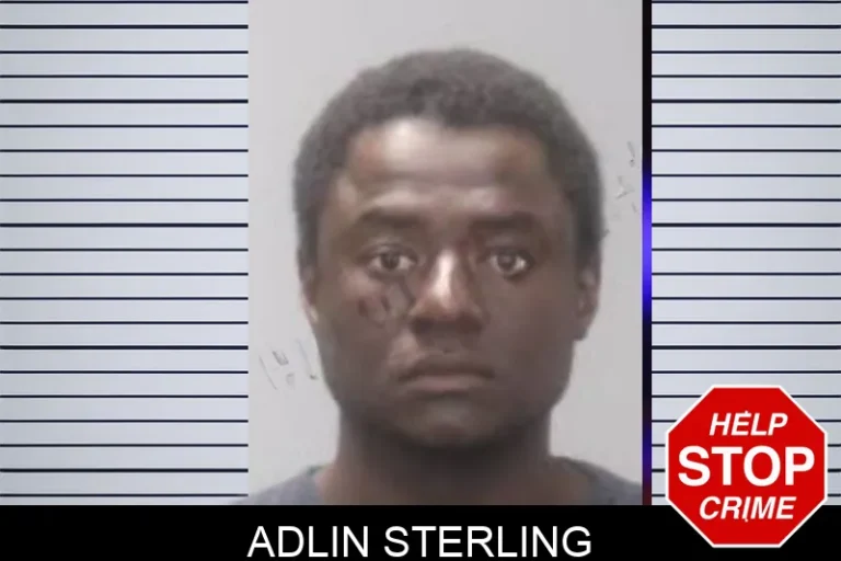 Adlin Sterling