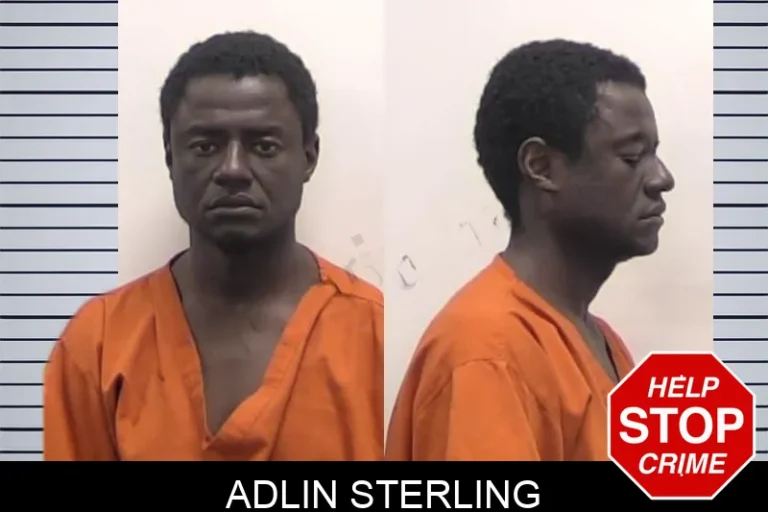 Adlin Sterling
