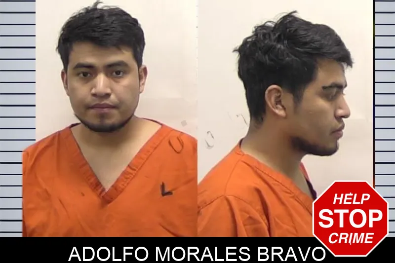 Adolfo Morales Bravo