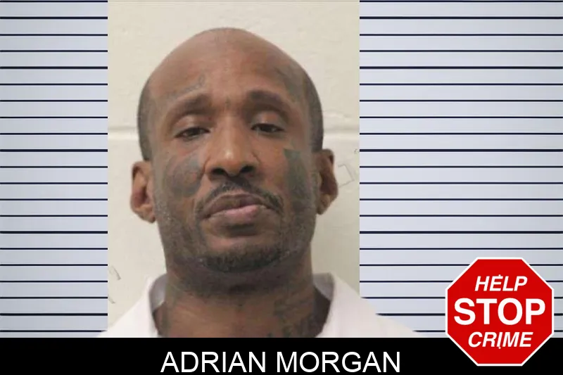 Adrian Morgan