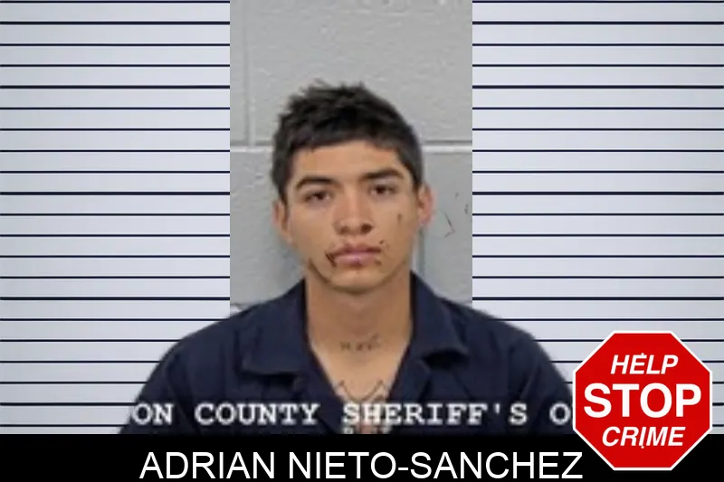Adrian Nieto-Sanchez mugshot – Walton County , Georgia Adrian Nieto-Sanchez mugshot