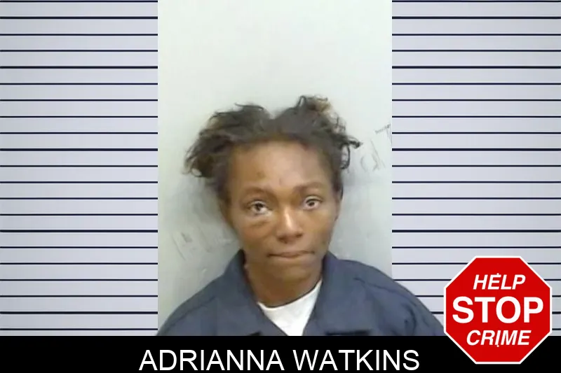 Adrianna Watkins mugshot – Fulton County , Georgia Adrianna Watkins mugshot