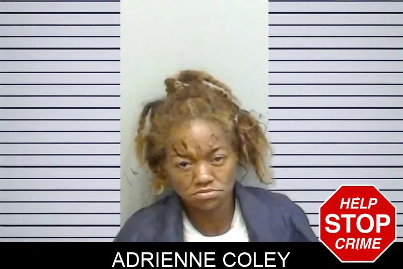 Adrienne Coley mugshot