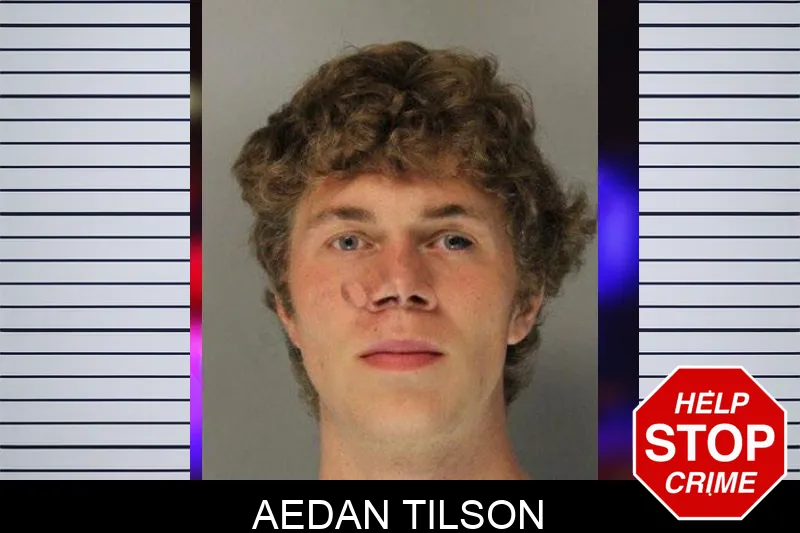 Aedan Tilson mugshot