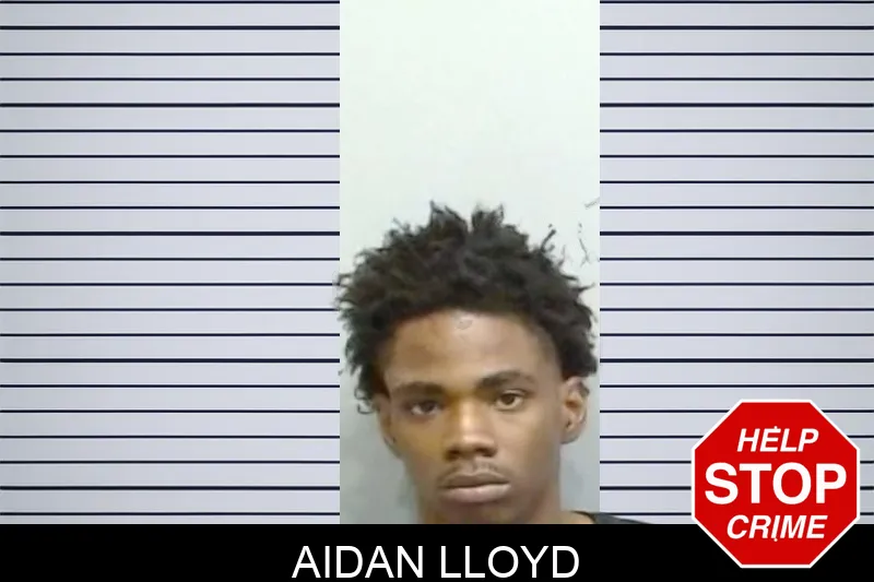 Aidan Lloyd mugshot – Fulton County , Georgia Aidan Lloyd mugshot
