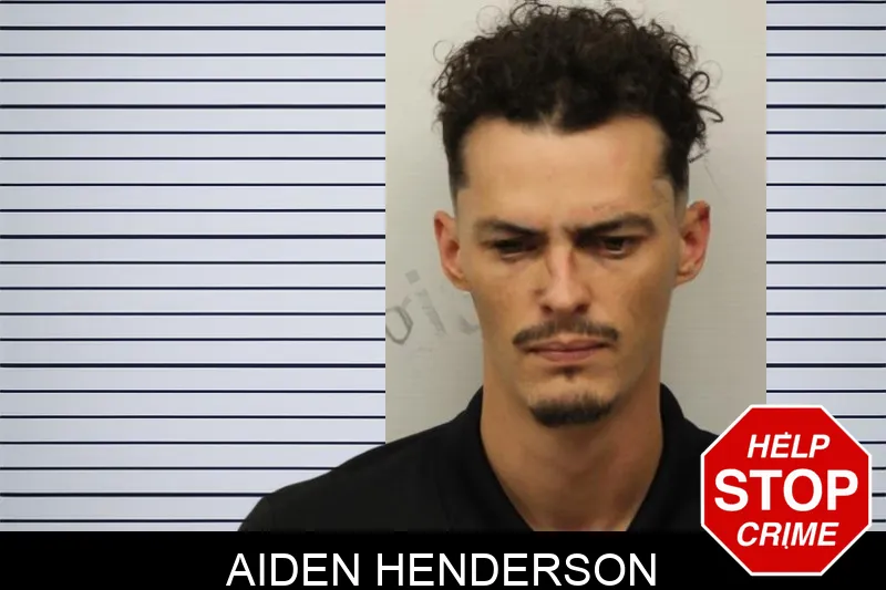 Aiden Henderson Mugshots