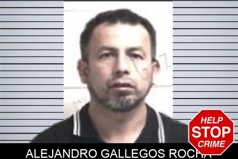 Alejandro Gallegos Rocha mugshot – Henry County , Georgia Alejandro Gallegos Rocha