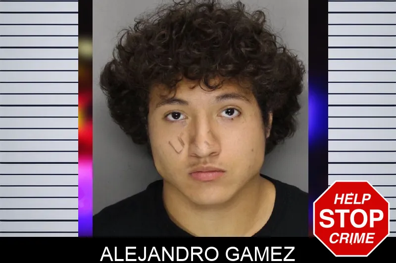 Alejandro Gamez Mugshots