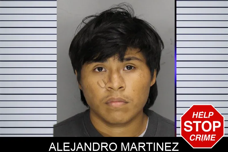 Alejandro Martinez Mugshots