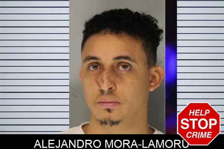 Alejandro Mora-Lamoru