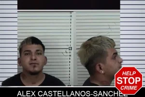 Alex Castellanos-Sanchez mugshot