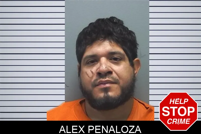 Alex Penaloza mugshot – Cherokee County , Georgia Alex Penaloza mugshot