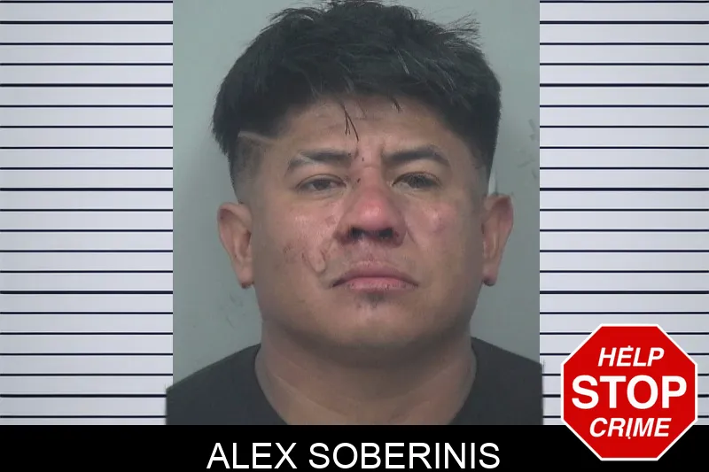 Alex Soberinis mugshot