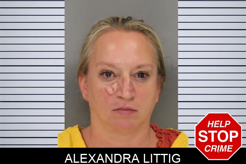 Alexandra Littig Mugshots