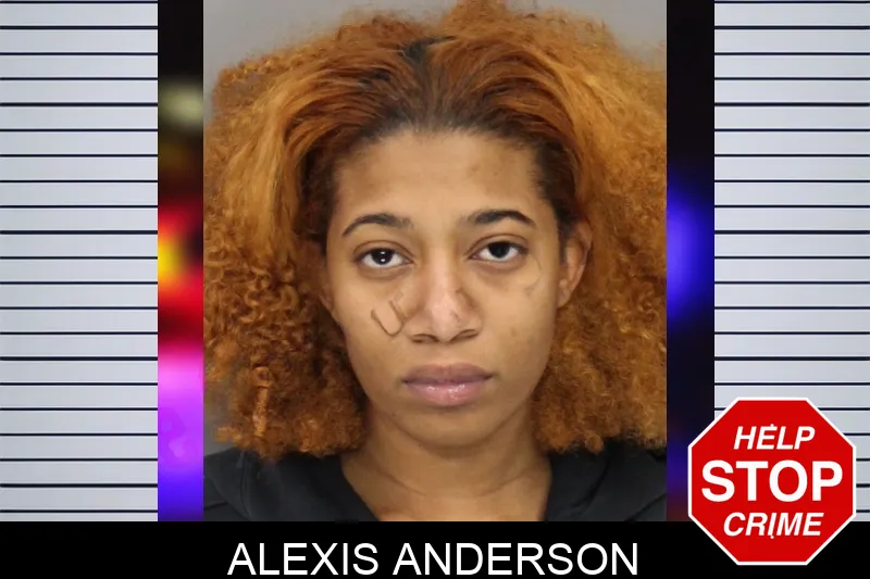 Alexis Anderson mugshot