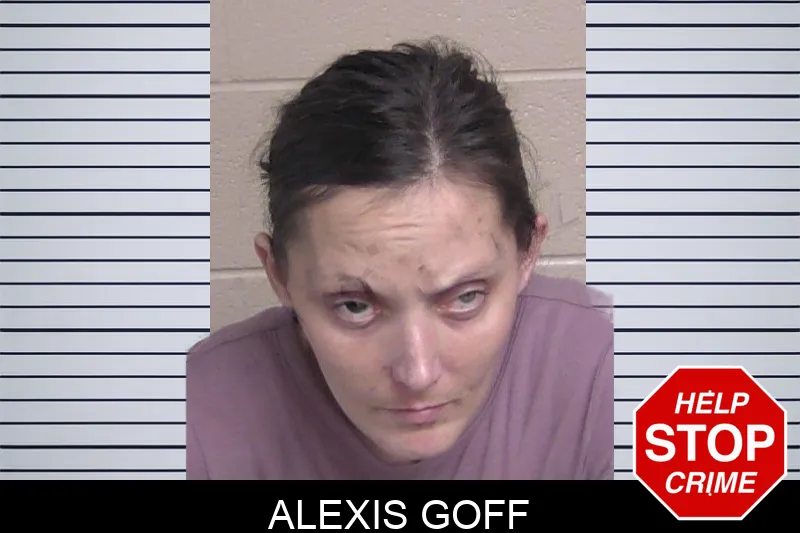 Alexis Goff Mugshots