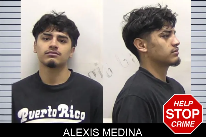Alexis Medina Mugshots