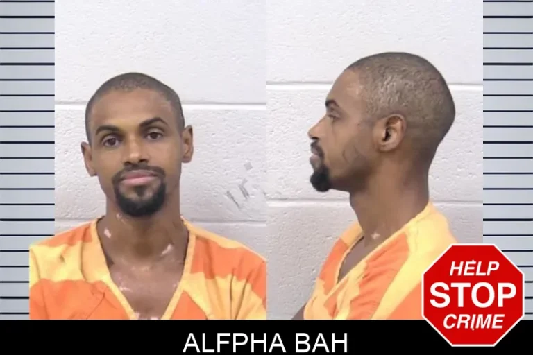 Alfpha Bah mugshot – Paulding County , Georgia Alfpha Bah