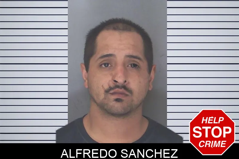 Alfredo Sanchez Mugshots