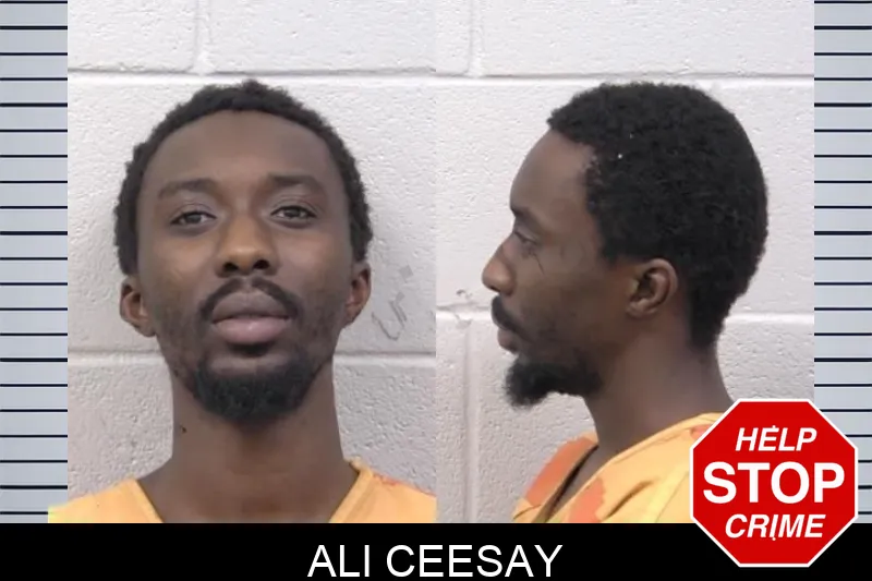 Ali Ceesay Mugshots