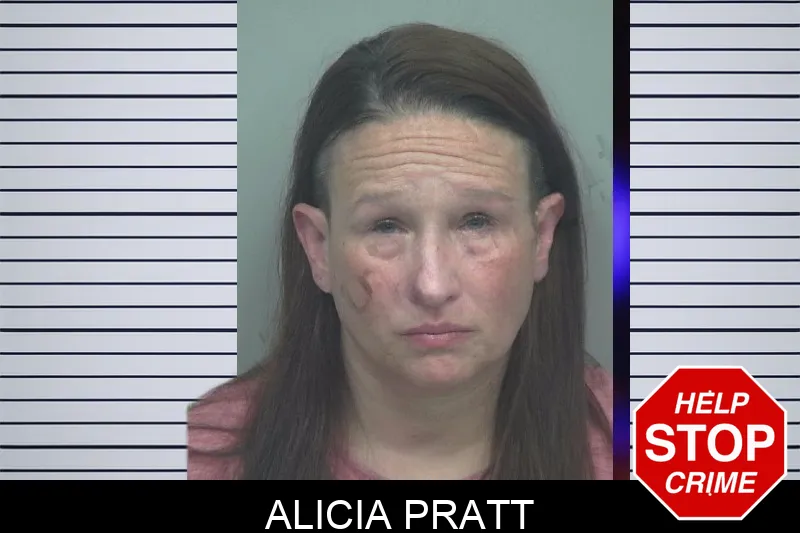 Alicia Pratt mugshot – Gwinnett County , Georgia Alicia Pratt mugshot